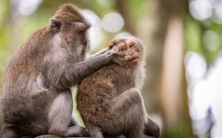 Privat rengøring: Er timepris eller fast pris bedst for dig?