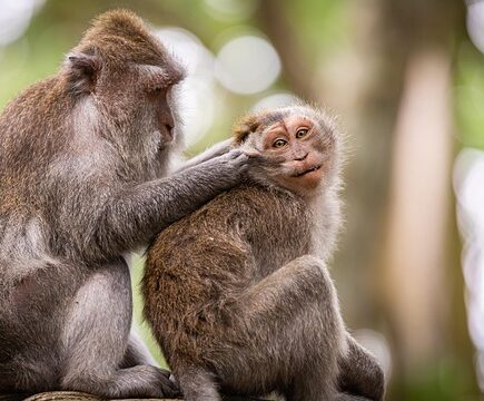 Privat rengøring: Er timepris eller fast pris bedst for dig?