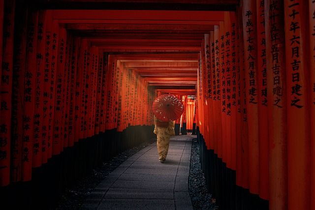 Fra tokyo til aarhus: En rejse gennem japanske smagsoplevelser