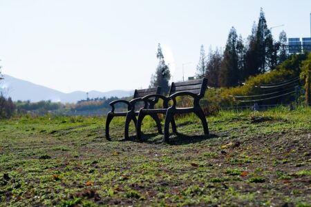 Opladning gør det nemt: Udforsk funktionerne på ladeportalen.dk