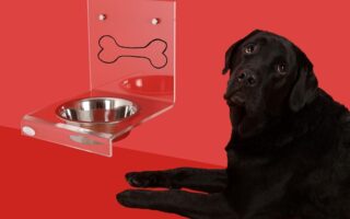 Nytænk din hunds spiseoplevelse med Cloud7's innovative hundeskåle