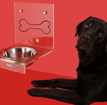 Nytænk din hunds spiseoplevelse med Cloud7's innovative hundeskåle